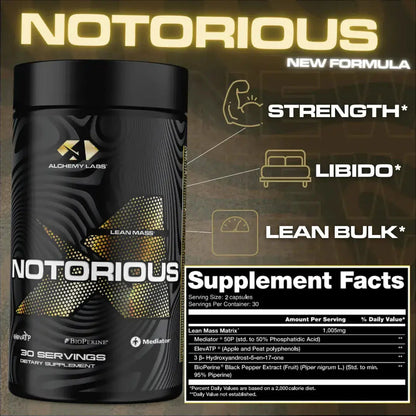 Notorious by Alchemy Labs